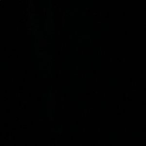 Meet your Posher, Paris